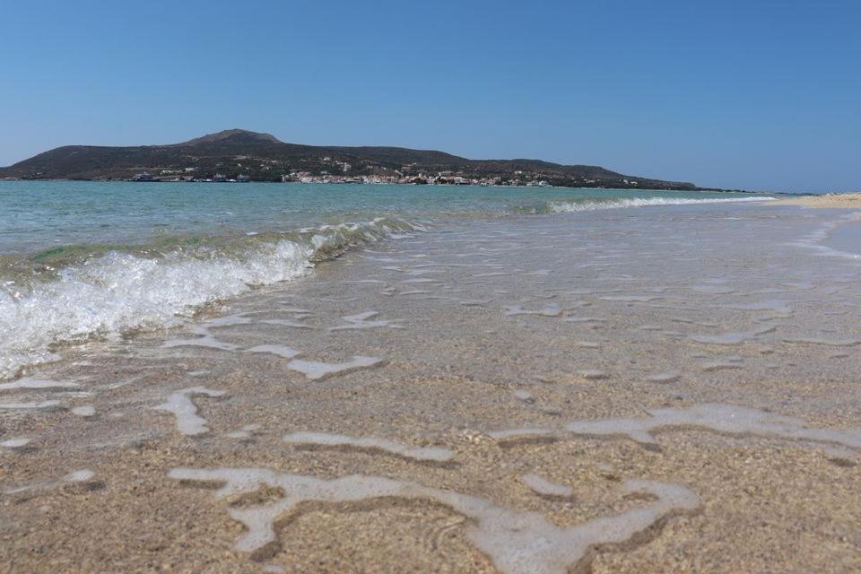 Pavlopetri Otel Vingláfia Dış mekan fotoğraf